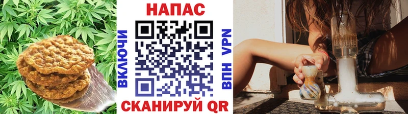 продажа наркотиков  OMG   Печенье с ТГК конопля  Сурск 