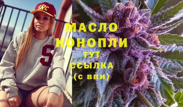 индика Армянск