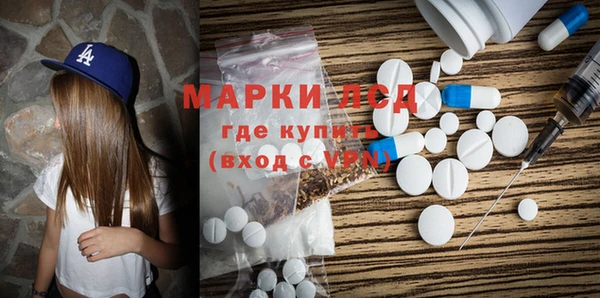 индика Армянск