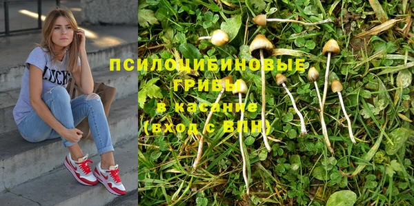 индика Армянск