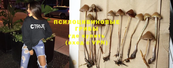 герыч Арсеньев