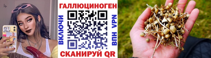 магазин  наркотиков  Сурск  Псилоцибиновые грибы мицелий 